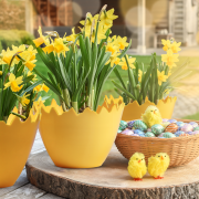 doniczka.jajko.ph.png